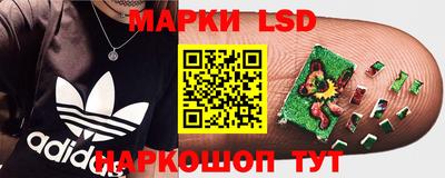 индика Комсомольск-на-Амуре