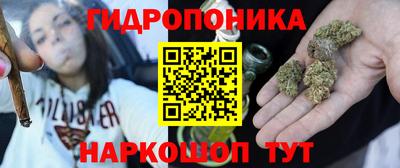 индика Комсомольск-на-Амуре